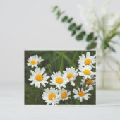 USA, Washington, Seattle, Puget Sound 3 Postkarte (Stehend Vorderseite)