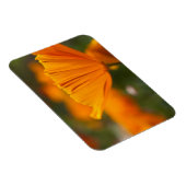 USA, Washington, Seattle, Summer Magnet (Rechte Seite)