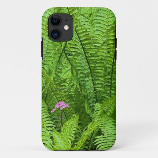 USA, Washington, Seattle, Washington Park Case-Mate iPhone Hülle (Rückseite)