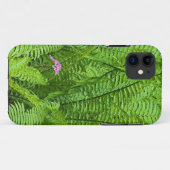 USA, Washington, Seattle, Washington Park Case-Mate iPhone Hülle (Rückseite (Horizontal))