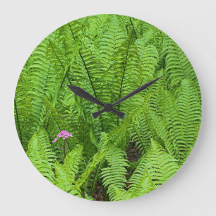USA, Washington, Seattle, Washington Park Große Wanduhr