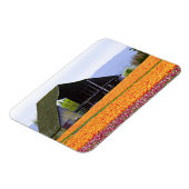 USA, Washington, Skagit Valley. 2 Magnet (Linke Seite)