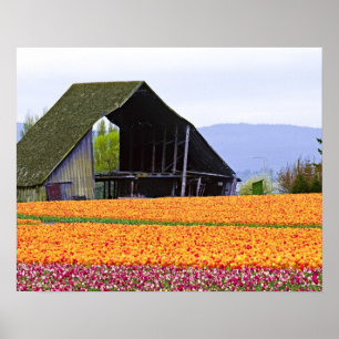 USA, Washington, Skagit Valley. 2 Poster