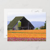 USA, Washington, Skagit Valley. 2 Postkarte (Vorne/Hinten)