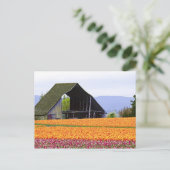 USA, Washington, Skagit Valley. 2 Postkarte (Stehend Vorderseite)