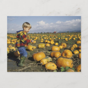 USA, Washington, Snohomish. Kleiner Junge Postkarte