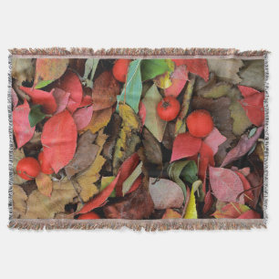 USA, Washington, Spokane Co., Hawthorn-Blätter Decke