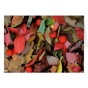 USA, Washington, Spokane Co., Hawthorn Leaves