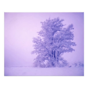 USA, Washington, Spokane County, Frostig Fotodruck