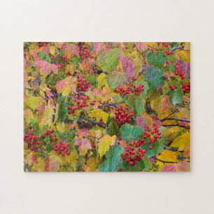 USA, Washington, Spokane County, Hawthorn Blätter  Puzzle