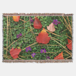 USA, Washington, Spokane County, Hawthorn Leaves 3 Decke