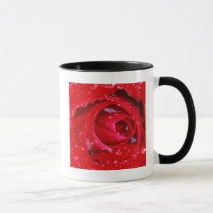 USA, Washington, Spokane County, Manito Park Tasse