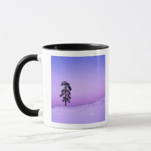 USA, Washington, Spokane County, Riverside Tasse