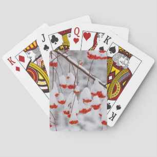 USA, Washington, Spokane County Spielkarten