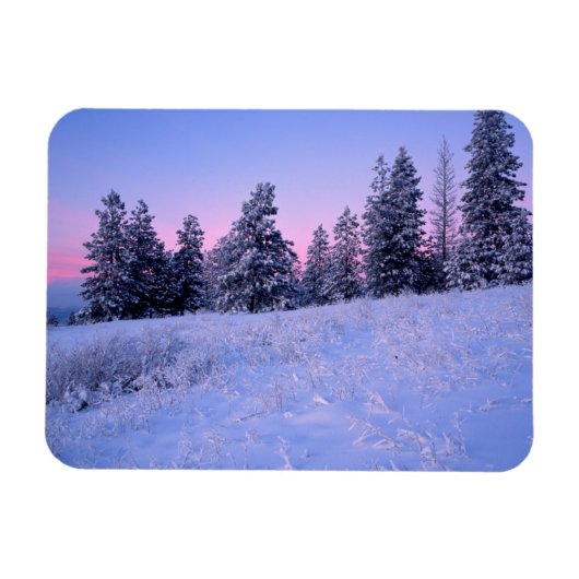 USA, Washington, Spokane Landkreis, Browne Mountai Magnet (Horizontal)