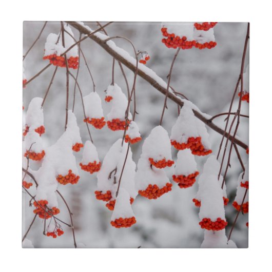 USA, Washington, Spokane Landkreis Fliese (Vorderseite)