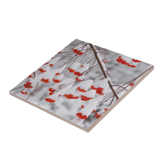 USA, Washington, Spokane Landkreis Fliese (Seite)