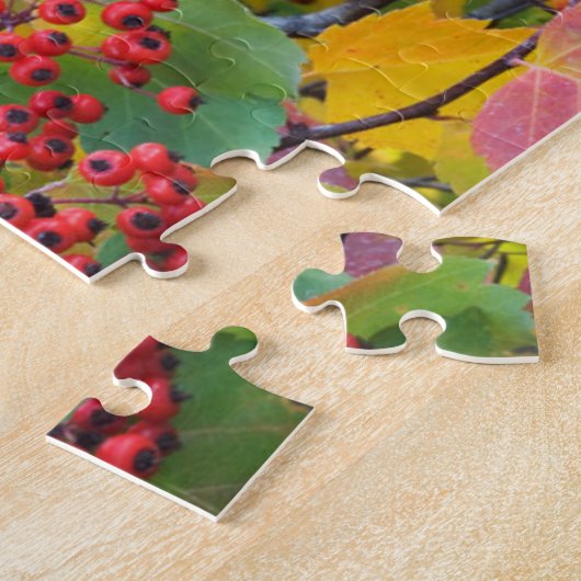 USA, Washington, Spokane Landkreis, Hawthorn Blätt Puzzle (Seite)