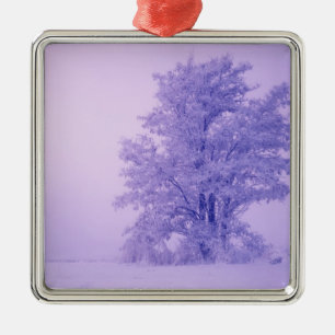 USA, Washington, Spokane Landkreis, Mattiert Silbernes Ornament