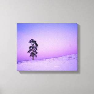 USA, Washington, Spokane, Landkreis Riverside Leinwanddruck