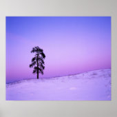 USA, Washington, Spokane, Landkreis Riverside Poster (Vorne)