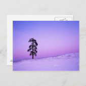 USA, Washington, Spokane, Landkreis Riverside Postkarte (Vorne/Hinten)