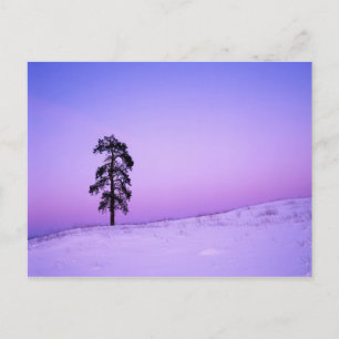 USA, Washington, Spokane, Landkreis Riverside Postkarte