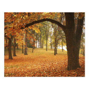 USA, Washington, Spokane, Manito Park, Herbst 2 Fotodruck