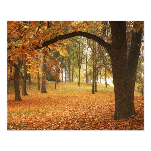 USA, Washington, Spokane, Manito Park, Herbst 2 Fotodruck (Vorne)