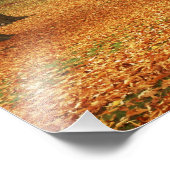 USA, Washington, Spokane, Manito Park, Herbst 2 Fotodruck (Ecke)