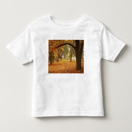 USA, Washington, Spokane, Manito Park, Herbst 2 Kleinkind T-shirt (Vorderseite)