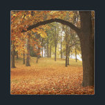 USA, Washington, Spokane, Manito Park, Herbst 2 Magnet<br><div class="desc">USA,  Washington,  Spokane,  Manito Park,  Herbst � Charles Gurche / DanitaDelimont.com</div>