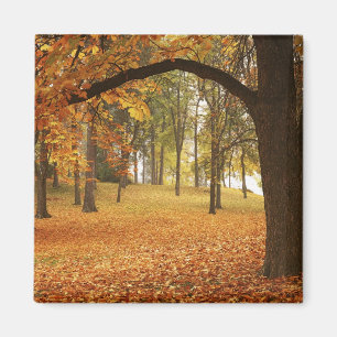 USA, Washington, Spokane, Manito Park, Herbst 2 Magnet