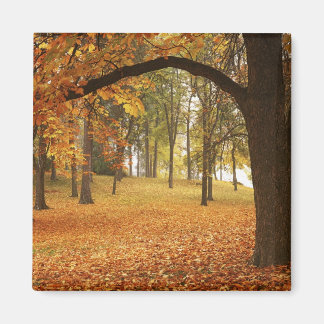 USA, Washington, Spokane, Manito Park, Herbst 2 Magnet