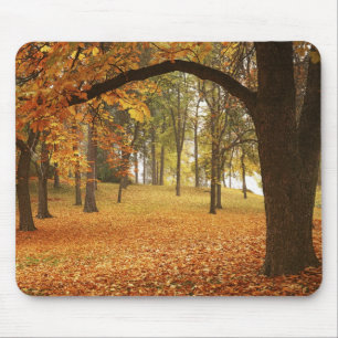 USA, Washington, Spokane, Manito Park, Herbst 2 Mousepad