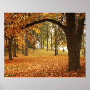USA, Washington, Spokane, Manito Park, Herbst 2 Poster
