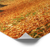 USA, Washington, Spokane, Manito Park, Herbst 2 Poster (Ecke)