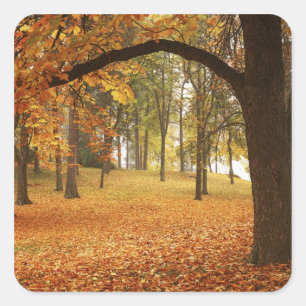 USA, Washington, Spokane, Manito Park, Herbst 2 Quadratischer Aufkleber