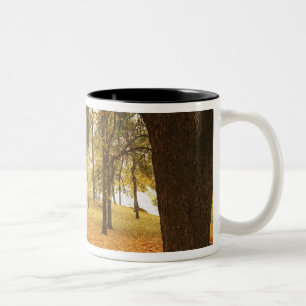 USA, Washington, Spokane, Manito Park, Herbst 2 Zweifarbige Tasse