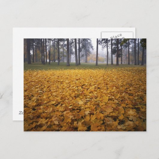 USA, Washington, Spokane, Manito Park, Herbst Postkarte (Vorne/Hinten)