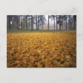 USA, Washington, Spokane, Manito Park, Herbst Postkarte (Vorderseite)