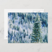 USA, Washington, Spokane Staat Park, Aspen Postkarte (Vorne/Hinten)