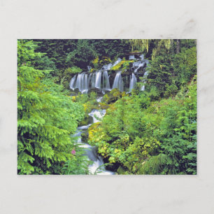 USA, Washington Staat, Adams Wilderness. Twin Postkarte