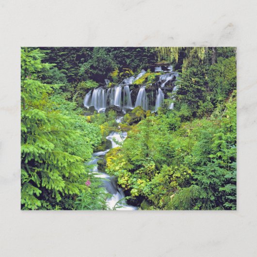 USA, Washington Staat, Adams Wilderness. Twin Postkarte (Vorderseite)