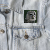 USA, Washington Staat. Barred Owl (Strix varia) Button (Beispiel)