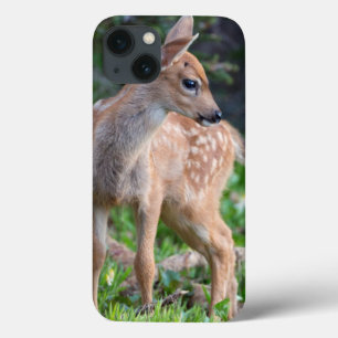 USA, Washington-Staat. Blacktail Rotwild-Kitz Case-Mate iPhone Hülle