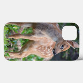 USA, Washington-Staat. Blacktail Rotwild-Kitz Case-Mate iPhone Hülle (Rückseite (Horizontal))