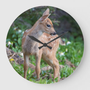USA, Washington-Staat. Blacktail Rotwild-Kitz Große Wanduhr