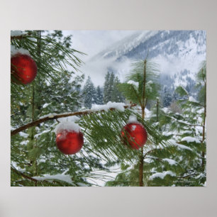 USA, Washington Staat, Chelan Landkreis Poster