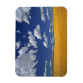 USA, Washington Staat, Colfax. Reißgerste trifft s Magnet (Vertikal)